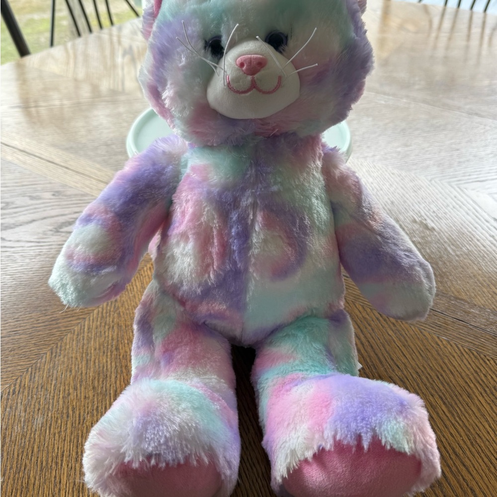 Build A Bear Pastel Tie Die Cat Kitty